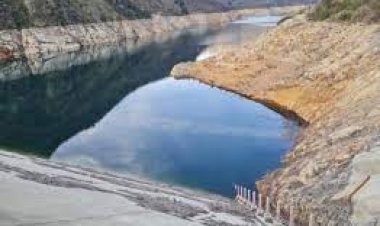 Ministerio de Agricultura evalúa declaración de emergencia agrícola en toda la Región del Maule