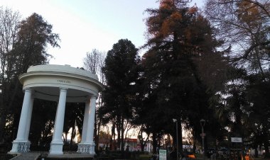 Eduardo de la Fuente Ceroni: “La joya de Linares: los árboles de la plaza”