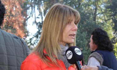 Senadora Rincón pide a Contraloría investigar entrega de platas “VIP" a galerías de arte