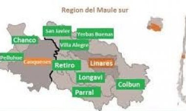 Chile Podemos llevaría cinco candidatos a diputados en el Maule sur