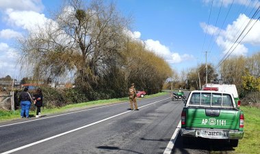 Ciclista muere en la ruta que une Linares con Yerbas Buenas
