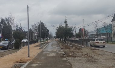 (AUDIO) Lento avance presentan las obras de mejoramiento del bandejón central de la avenida Aníbal León Bustos de Linares
