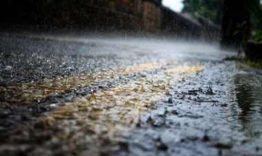 Sistema frontal podría afectar producción frutícola de la zona central