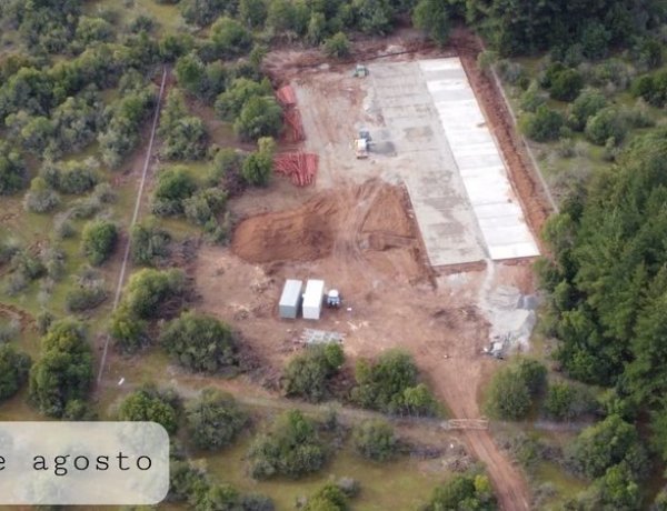 Casi mil personas han firmado petición de ADAL Linares para cambiar a un lugar más seguro el nuevo canil municipal