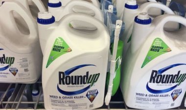 Tribunal declara admisible demanda colectiva de ODECU en contra del gigante mundial Bayer por herbicida cancerígeno