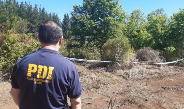 (VIDEO) Puzzle policial: perro encontró una extremidad humana en Parral