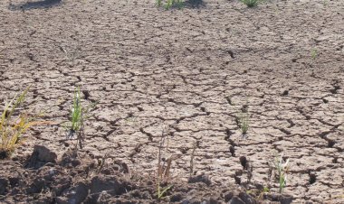 Un verano caluroso y seco en la zona central marca el regreso de “La Niña”