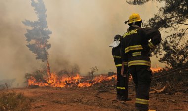 Autoridades anunciaron prohibición de quemas agrícolas y forestales en toda la Región del Maule