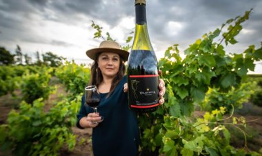 Pequeños productores del Maule obtienen medallas de oro en Concurso “Catad’or World Wine Awards 2021”