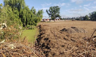 “Linares Verde” critica accionar municipal frente a la desprotección del humedal urbano “Ayüwün”