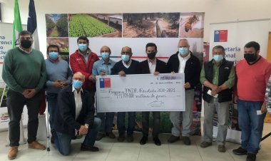 Aporte para productores remolacheros afectados por cierre de ex Planta Iansa Linares