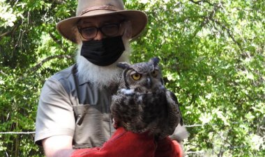 (VIDEO) La silenciosa y hermosa labor que nadie destaca de "Casa Noé, Mundo Animal"