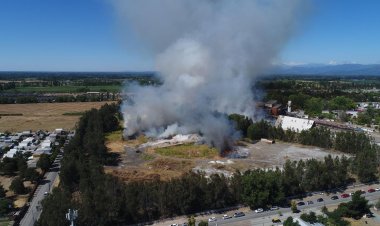 (VIDEO) Incendio de bosque al interior de ex Planta Iansa Linares