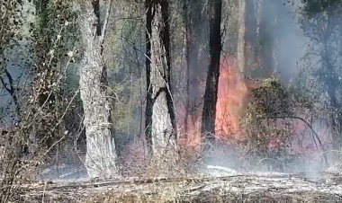 (AUDIOS) No descartan que pirómano este detrás de incendios en sector Huapi Alto de Linares