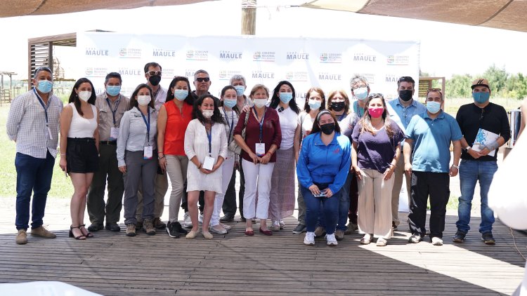 CRDP MAULE realiza rueda de negocios para fortalecer el turismo regional