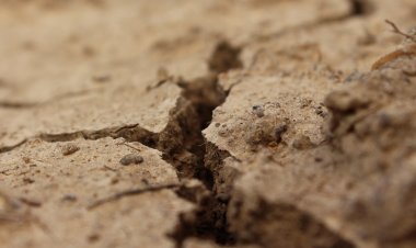 Experto advierte que sequía en el Maule alcanzará niveles críticos en 2022