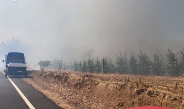Dos casas destruidas y 1 200 hectáreas arrasadas por el fuego es el balance de incendio forestal en Cauquenes
