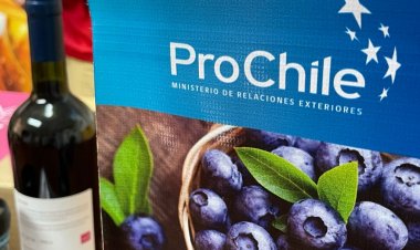 Once empresas maulinas, entre ellas, dos de Linares recibirán apoyo del fondo de promoción de exportaciones