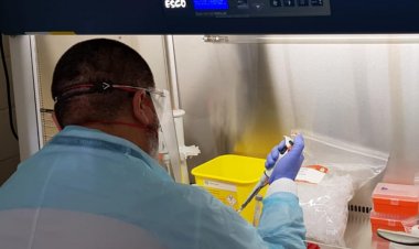 Linares: hospital base duplicó personal en laboratorio para subsanar retrasos en resultados PCR