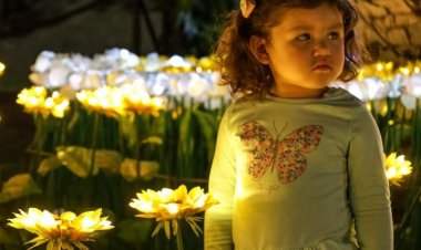 Parque Iluminado llega al Maule