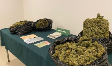 Madre e hijo detenidos por infracción a la ley de drogas en la comuna de Colbún