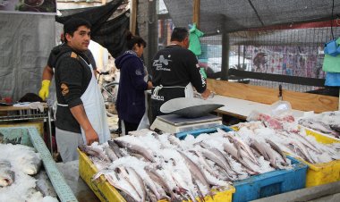 Experta explica consideraciones que se deben tener ante el consumo de pescados y mariscos