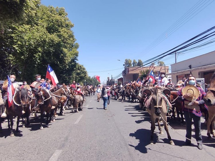 Diputado Benavente celebra aprobación de proyecto de su autoría que defiende las costumbres y tradiciones chilenas