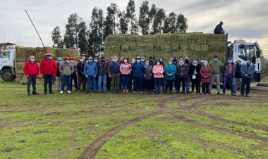 Colbún: comenzó la entrega de fardos en el marco del Programa de Alimentación Invernal