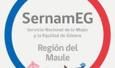 Declaración  pública SernamEG Región del Maule por denuncia de usuaria contra Casa de Acogida para víctimas de Violencia Intrafamiliar en Linares