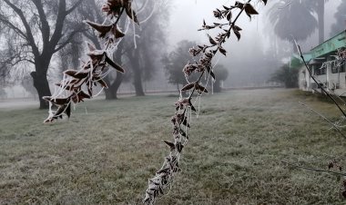 Lluvias y frío de junio no significan vuelta a normalidad climática advierte investigador INIA
