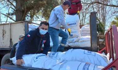 Crianceros de Longaví recibieron suplementación para la alimentación de su ganado