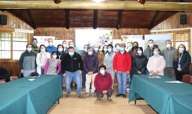 Maule: con éxito culminaron talleres informativos del proyecto "+Bosques, juntos contra el cambio climático"