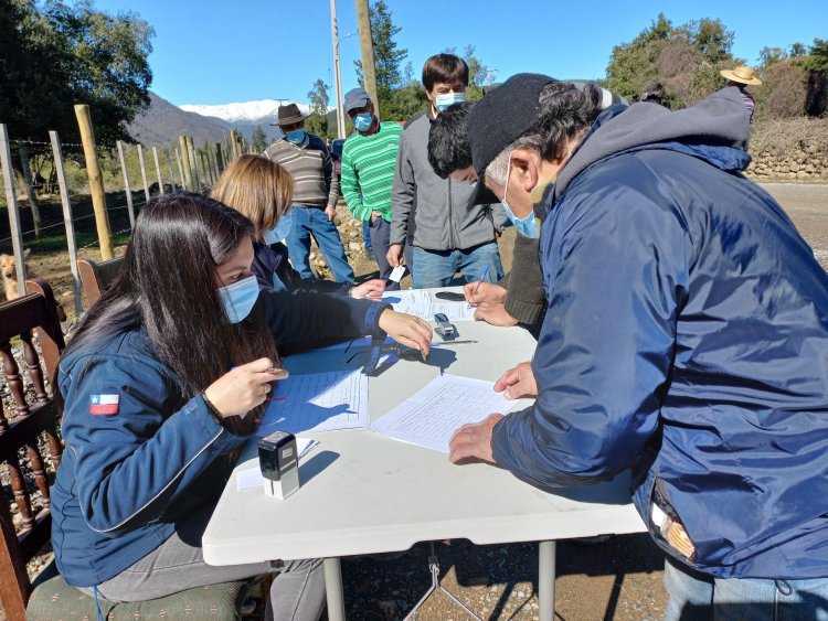 INDAP entregó alimentación animal para pequeños crianceros de Linares