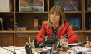 (VIDEO) Senadora Rincón impulsa reforma constitucional que establece “derecho a vivir en paz y en medio libre de violencia”