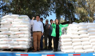 Reciben cargamento de fertilizantes para pequeños agricultores del Maule