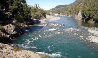 Alerta ambiental: delegada González y consejero regional Gutiérrez adelantan rechazo total a proyecto de embalse en el Santuario Achibueno
