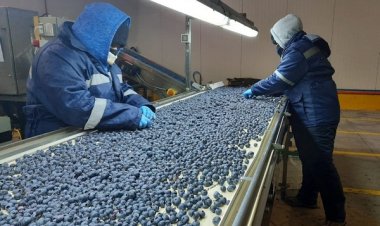 Desempleo en la provincia de Linares alcanzó el 10,3 por ciento en el último trimestre móvil julio-septiembre