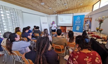 CRDP Maule y Colbún S.A. capacitan a Cámaras de Comercio de Colbún en plataforma Market Maule
