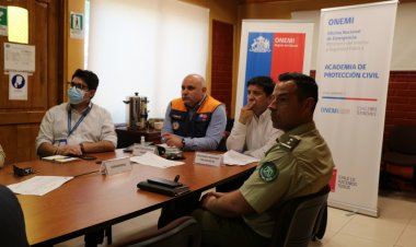 Declaran alerta temprana por peligro de incendios forestales en el Maule