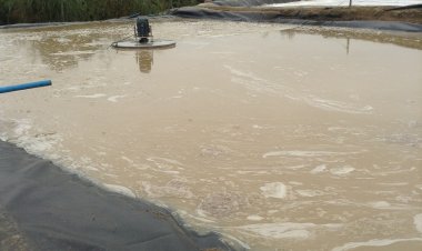 Colbún: SMA aplica multa de más de mil millones de pesos a Embotelladora Metropolitana por incumplimientos asociados a residuos líquidos