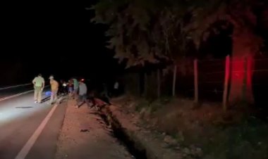 Nueva tragedia carretera en Linares: jinete y su caballo mueren tras ser impactados por camioneta en el camino al Santuario Achibueno