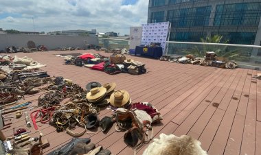 (VIDEO) Linares: PDI y Fiscalía desbaratan red de robo y venta de aperos e implementos campesinos