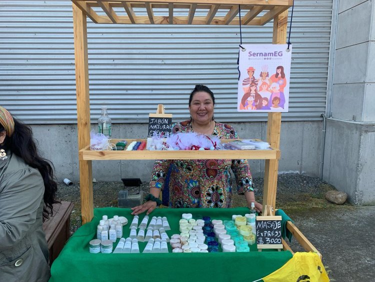 SernamEG abre postulaciones 2023 del Programa Mujeres Jefas de Hogar en 26 comunas del Maule