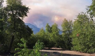 Incendios forestales avanzan hacia la Región del Maule: decretan alerta roja para Chanco y Cauquenes y alerta amarilla para la comuna de Longaví