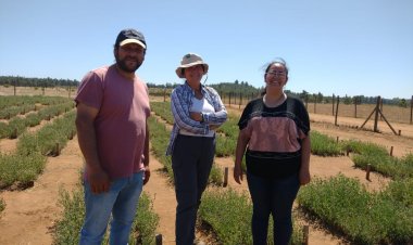 De los Molles a Cauquenes: Granja La Pachamama visita el Centro Experimental de INIA para continuar aprendiendo sobre alternativas forrajeras en zonas áridas
