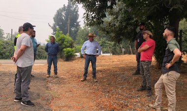Alcalde de Longaví cifra en 5 mil las hectáreas afectadas por mega incendio forestal en sector río Blanco