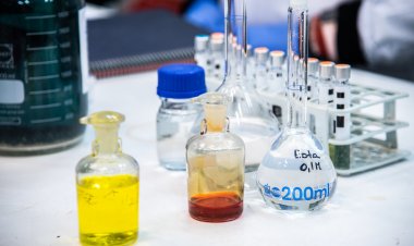 Macrozona Centro Sur se adjudica 192 proyectos Fondecyt Iniciación, Postdoc y Regular