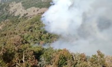 Gobierno asegura que incendio forestal de río Blanco está contenido en un 95 por ciento