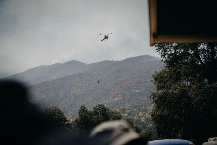 Seremi del Medio Ambiente durante incendio forestal de Longaví advierte afectación de unos de los bosques más añosos del Maule