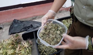 Carabineros detiene a hombre y mujer de nacionalidad estadounidense por microtráfico de drogas